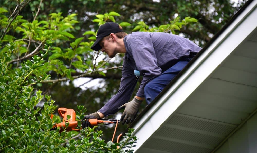 Untrimmed tree branches can lead to punctured shingles and a damaged roof.