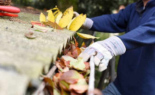 Clean the gutters and drains.